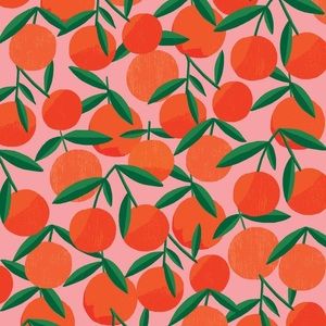 Meet your Posher, Guadalupe